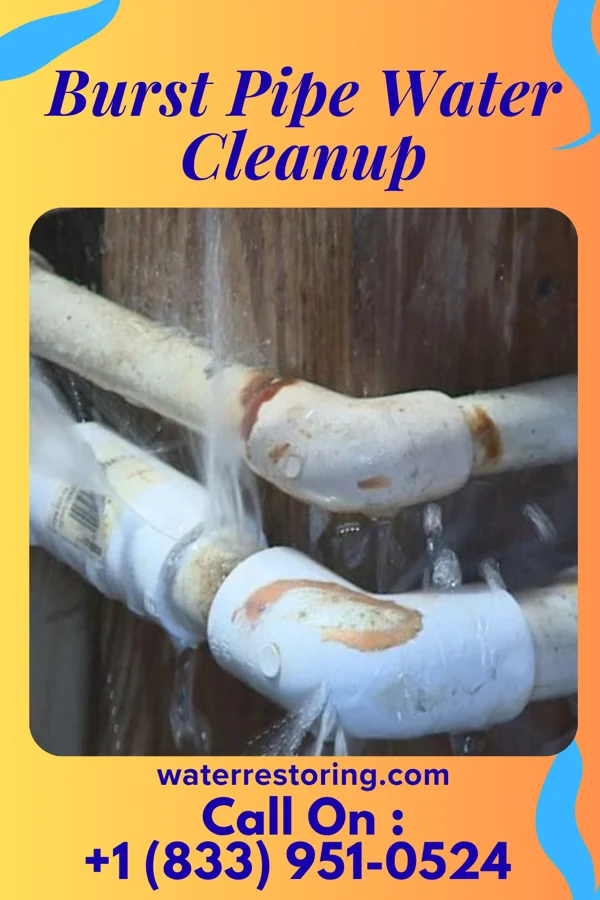 Burst Pipe Water Cleanup in Fultonham, OH