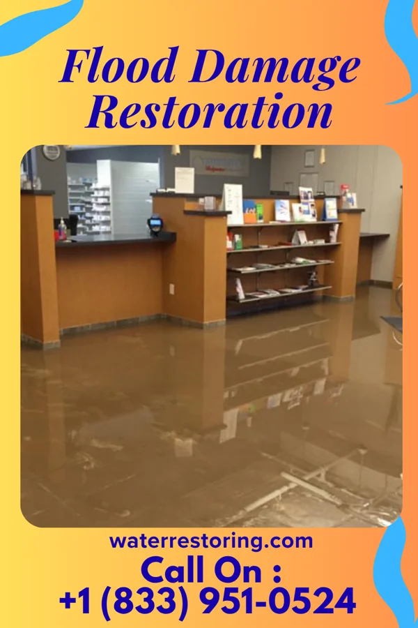 Flood Damage Restoration in Fultonham, OH
