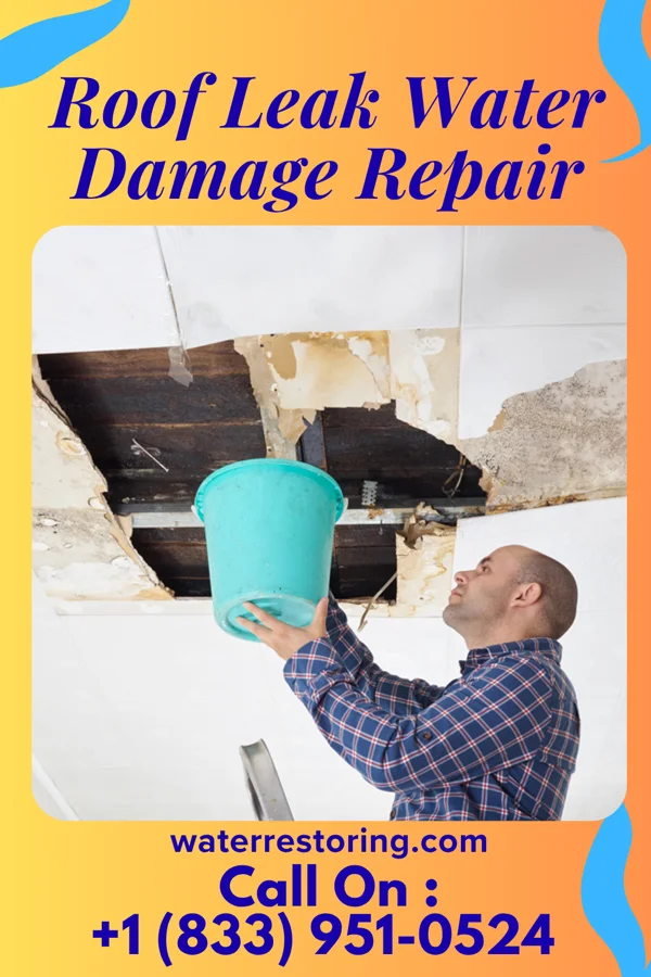 Roof Leak Water Damage Repair in Fultonham, OH