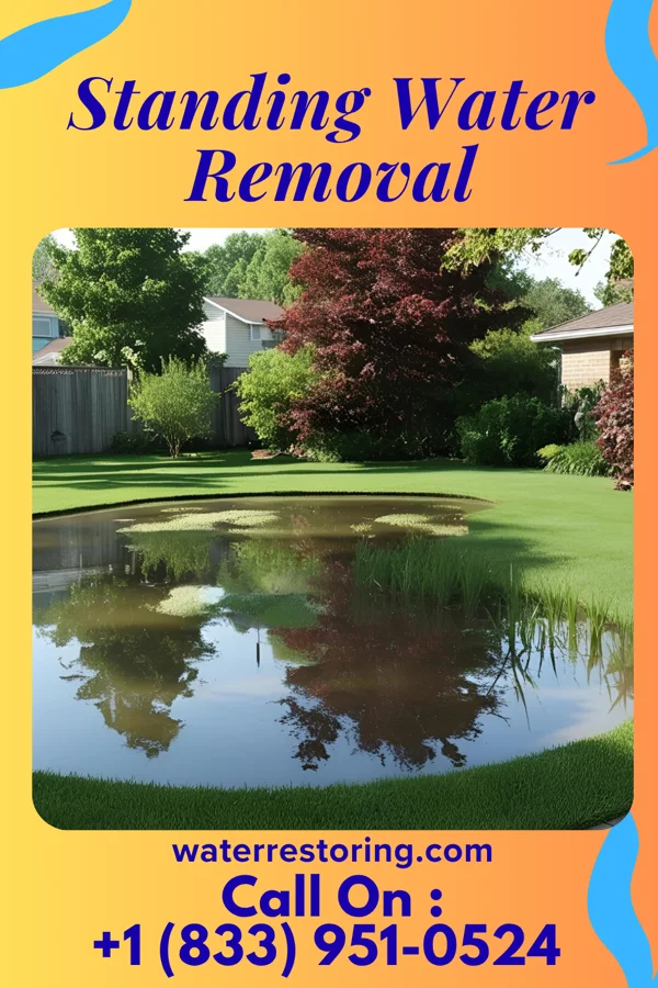 Standing Water Removal in Fultonham, OH